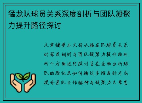 猛龙队球员关系深度剖析与团队凝聚力提升路径探讨